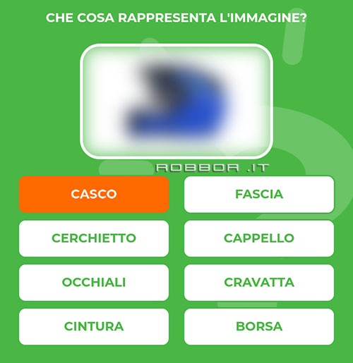 CASCO-2.jpg