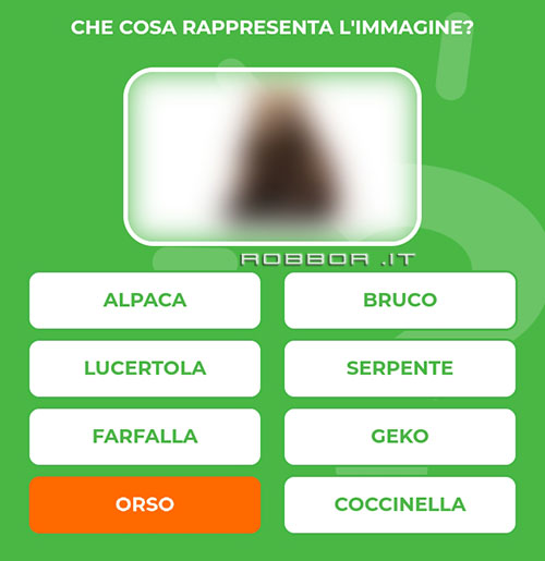 ORSO.jpg