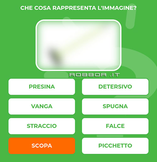 SCOPA.jpg