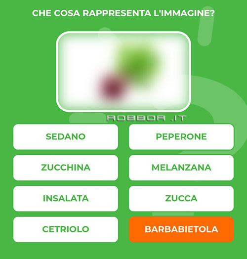 BARBABIETOLA.jpg