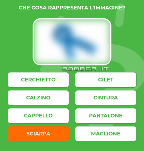 SCIARPA.jpg