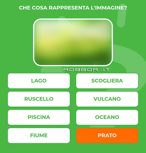 PRATO.jpg