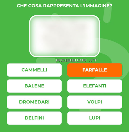 FARFALLE.jpg