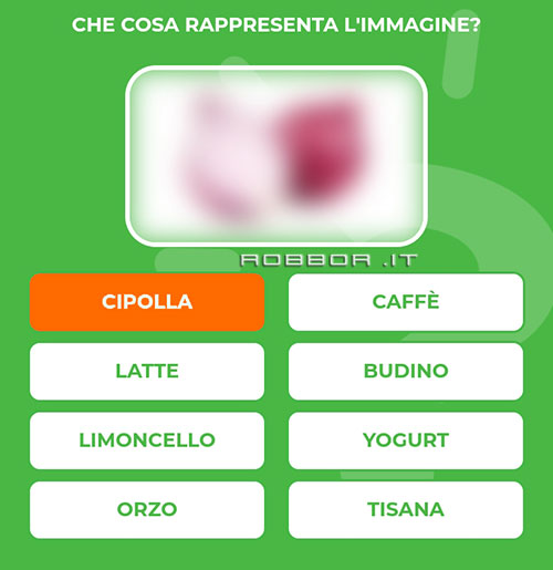 CIPOLLA.jpg