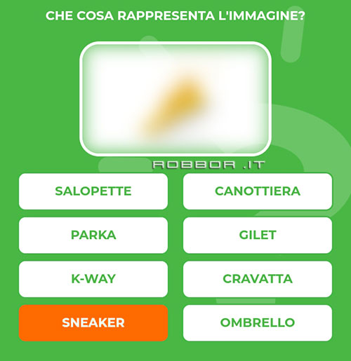 SNEAKER.jpg