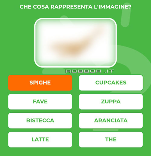 SPIGHE.jpg