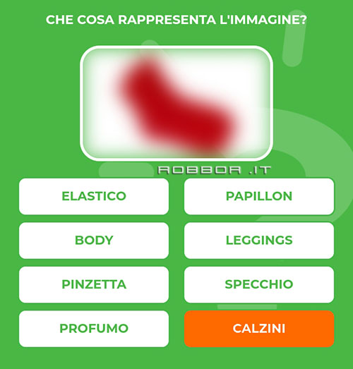 CALZINI.jpg