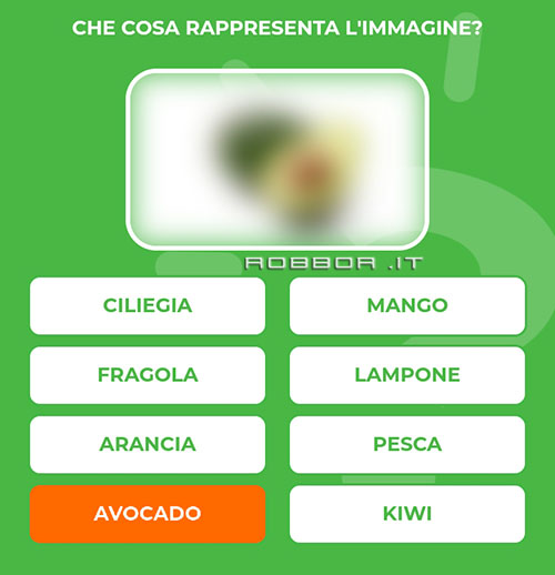 AVOCADO.jpg