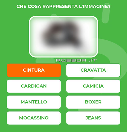 CINTURA.jpg