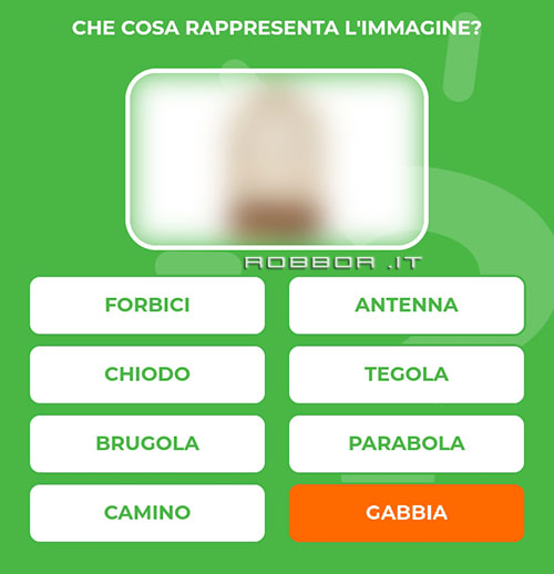 GABBIA.jpg