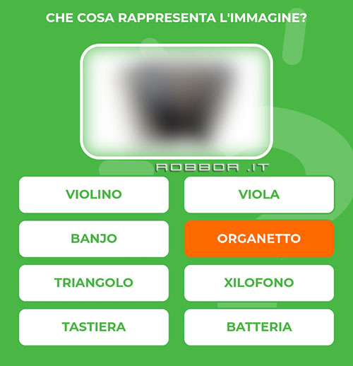 ORGANETTO.jpg
