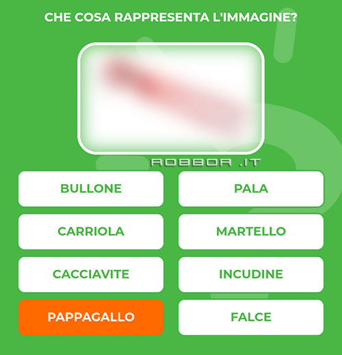 PAPPAGALLO.jpg