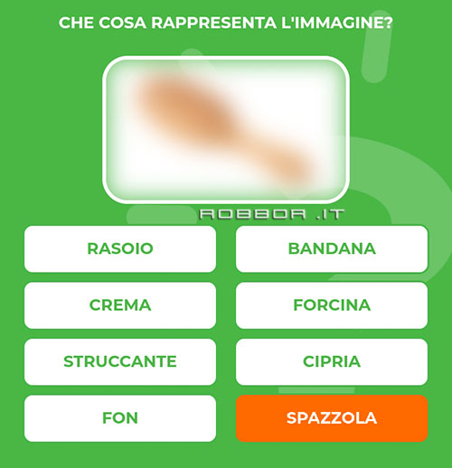 SPAZZOLA.jpg