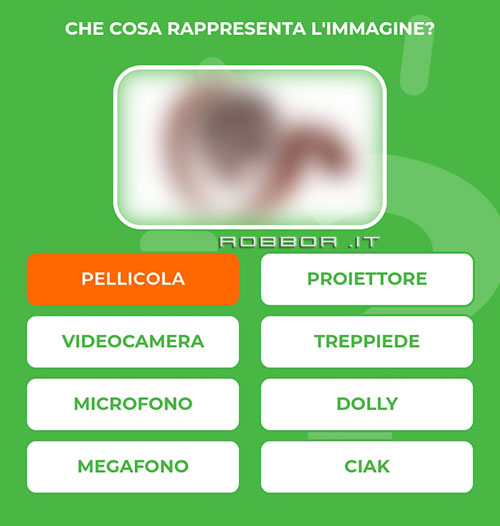 PELLICOLA.jpg