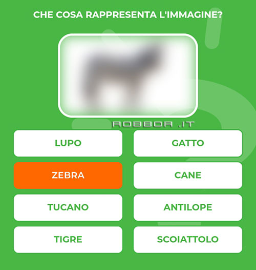 ZEBRA.jpg