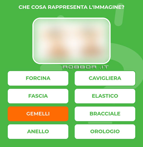 GEMELLI.jpg