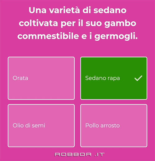 win quiz winday 06-06-2024 (1).png