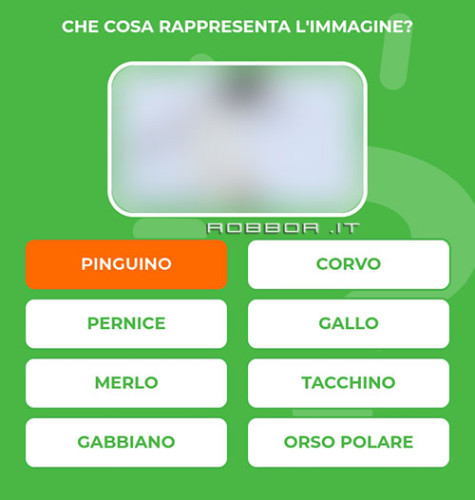 PINGUINO.jpg