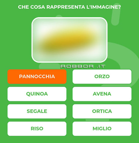 PANNOCCHIA.jpg